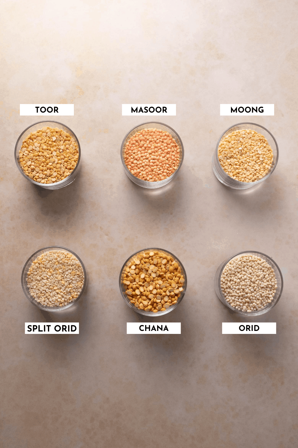 Labeled list of different types of lentils showing the physical difference