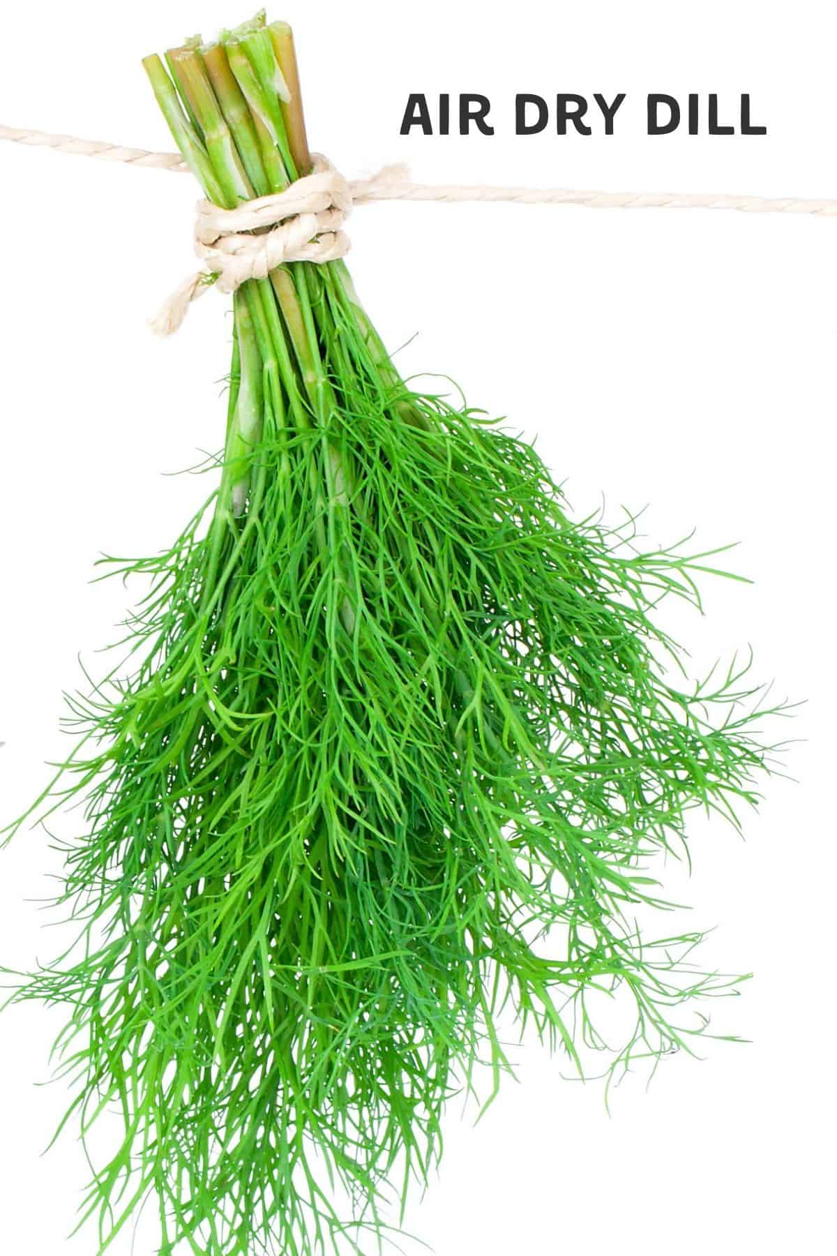 Image of dill hanging upside down against white background, and title.