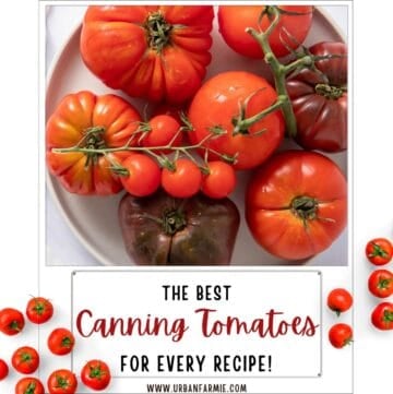 Close up image of tomatoes on white plate with text overlay of title at bottom.
