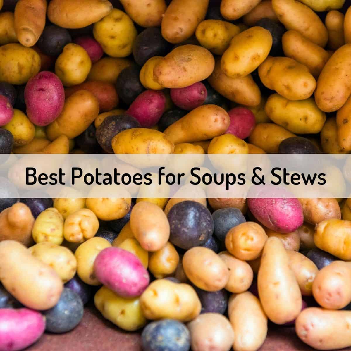 Picture of different types of potatoes with text overlay
