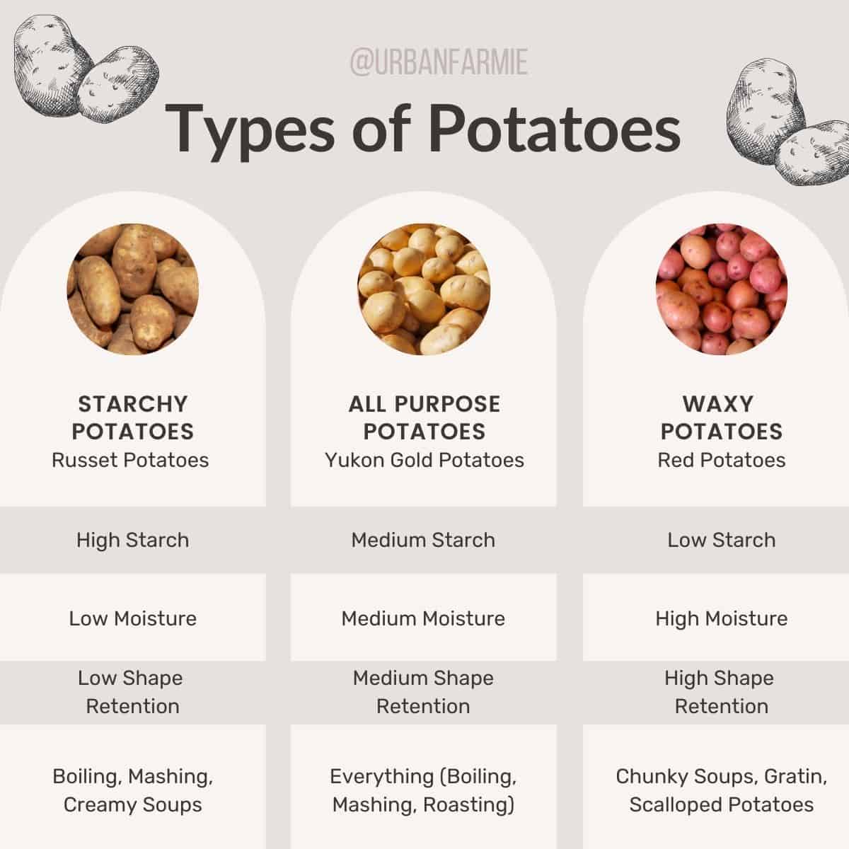 Three panel infographic highlighting differences in starchy, waxy and all purpose potatoes - check post for details