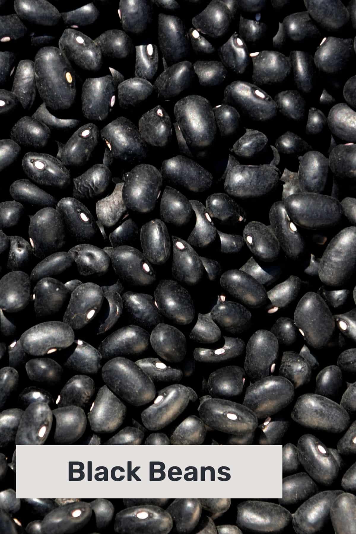 Close up of black beans with text overlay