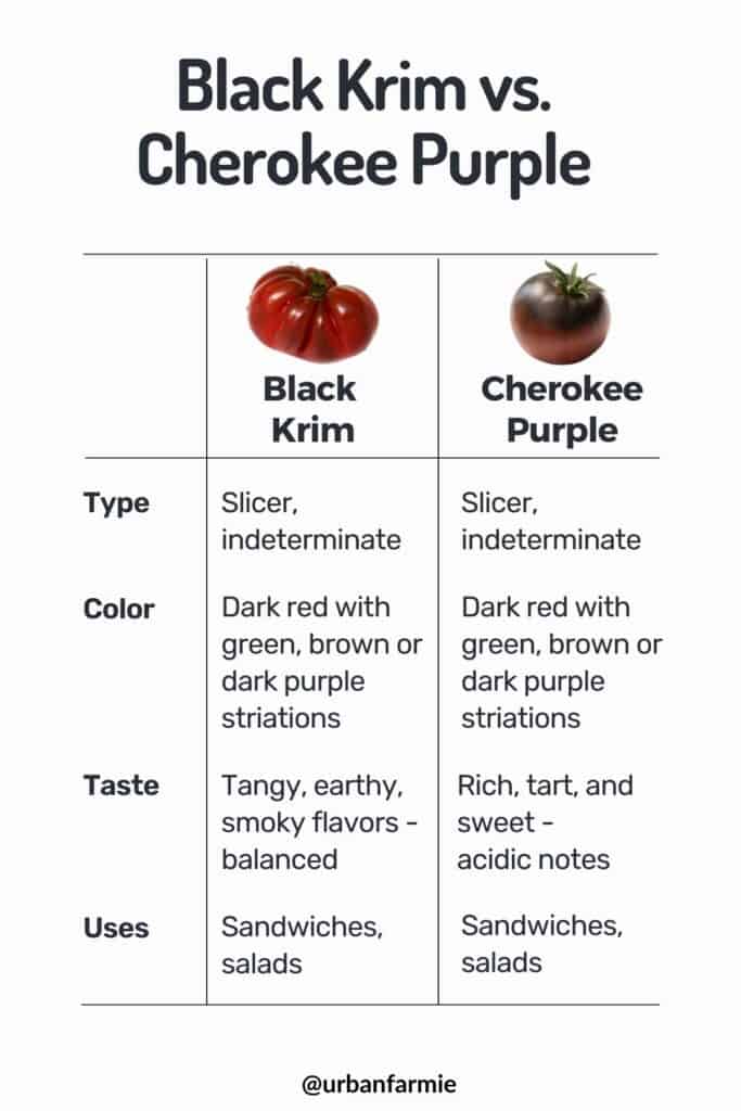 Comparison table summarizing key traits of Black Krim and Cherokee Purple tomatoes - read post for details.