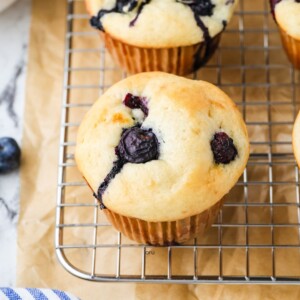 A close up image of a cottage cheese blueberry muffin.
