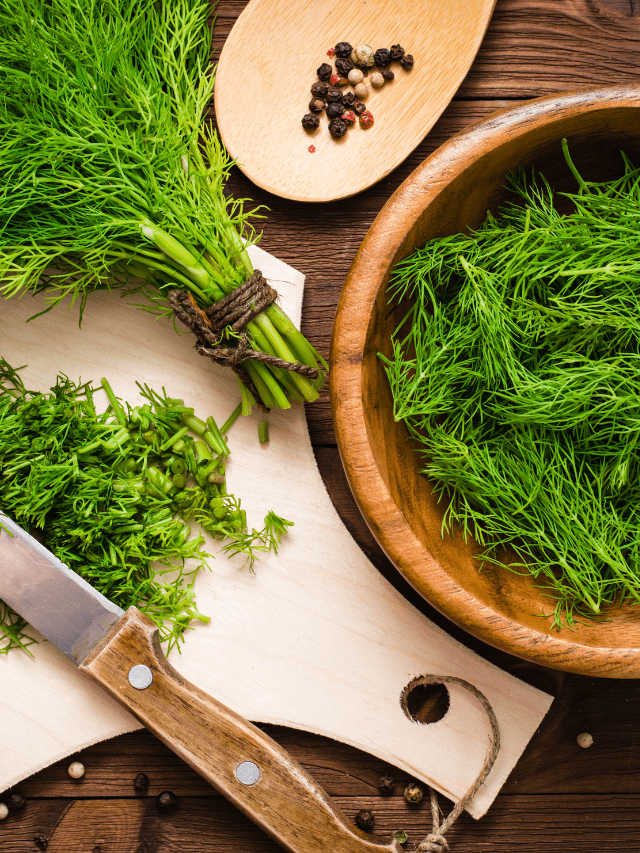 How to Store Fresh Dill