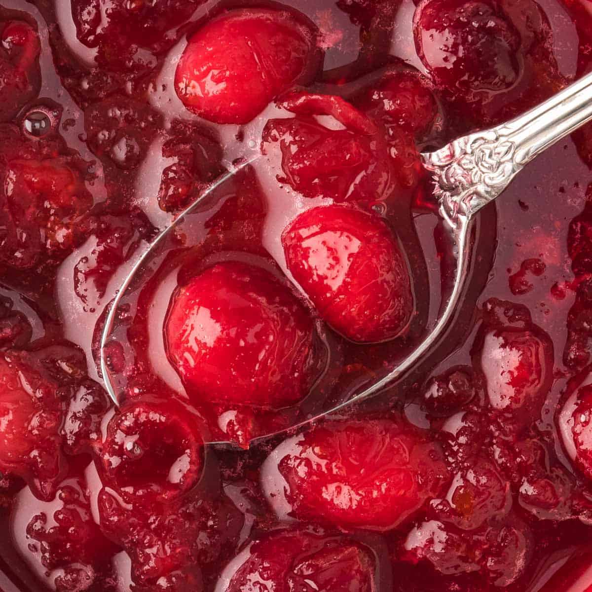 Close up view of spoonful of cranberry sauce
