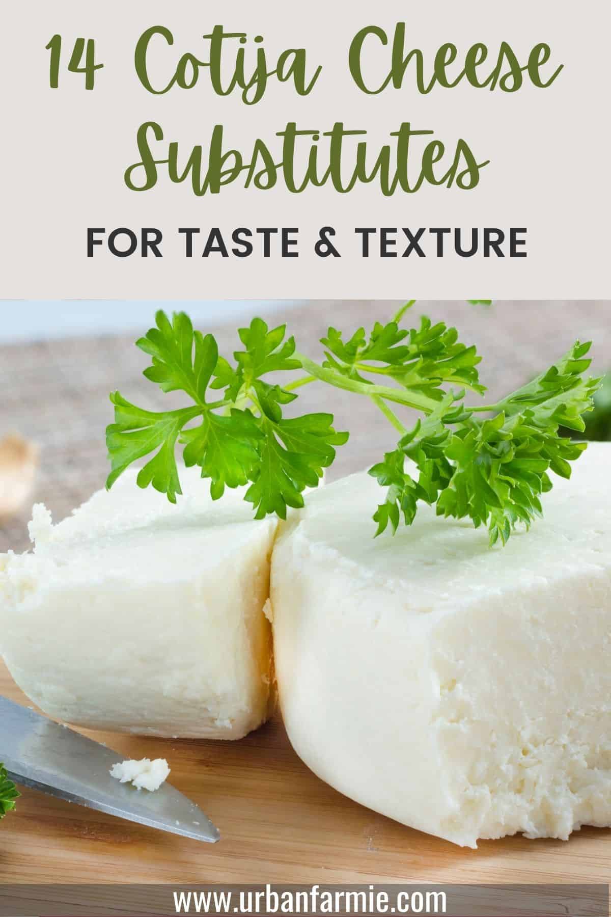 Image of block of cotija cheese with green garnish, and text overlay with title.