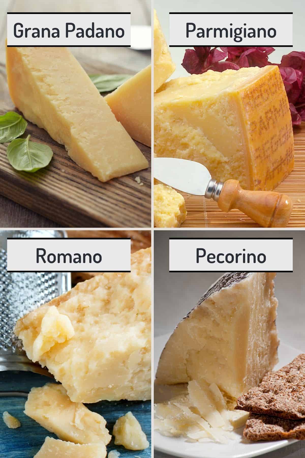 Four panel collage showing pictures of substitutes for flavor: clockwise from top left: Grana Padano, Parmesan, Romano, and Pecorino.
