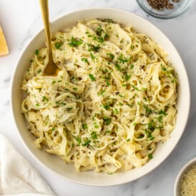 An overhead image of cottage cheese alfredo in a bowl.