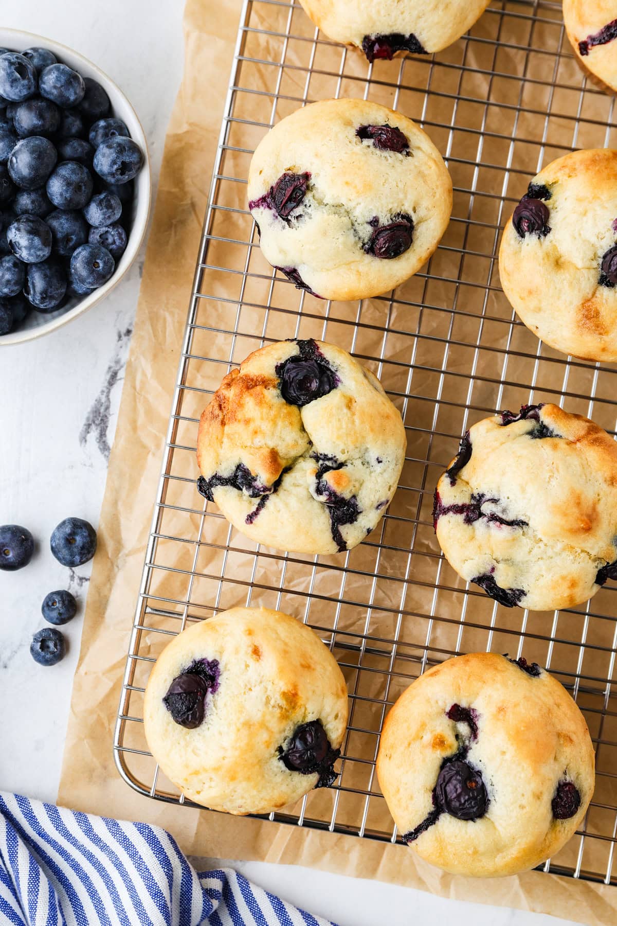 An overhead image of cottage cheese blueberry muffins.