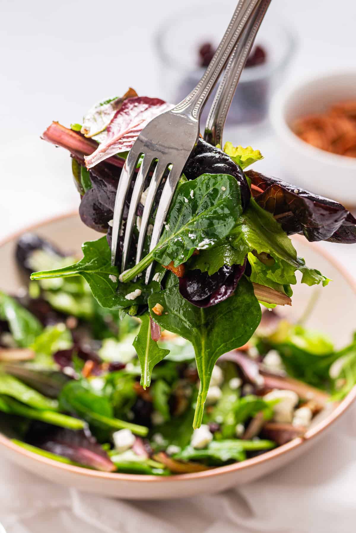 An image of a fork scooping out the cranberry salad.