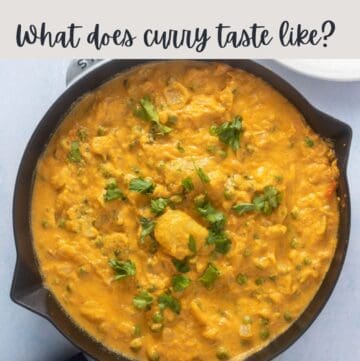 Close up of korma in skillet with text overlay, "What does curry taste like?"