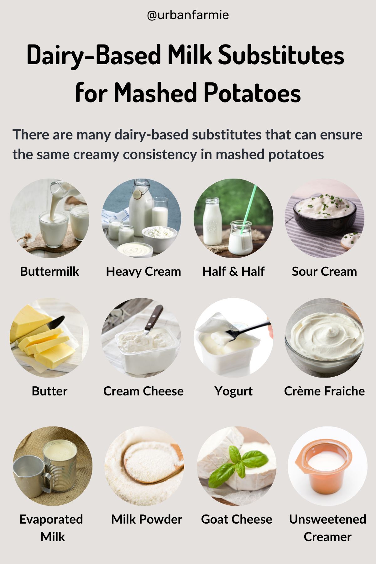 Infographic showing pictures of 12 common substitutes for milk in mashed potatoes.