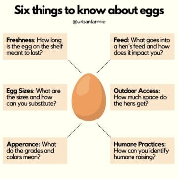 Infographic showing six key things to know about eggs