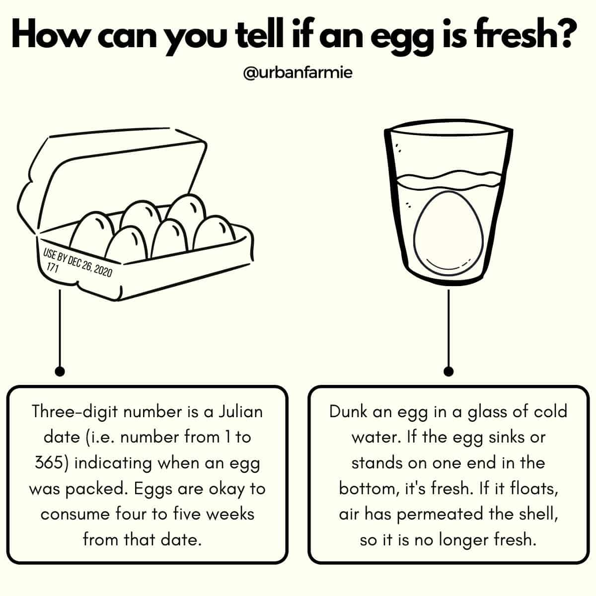 Infographic showing how to tell if egg is fresh