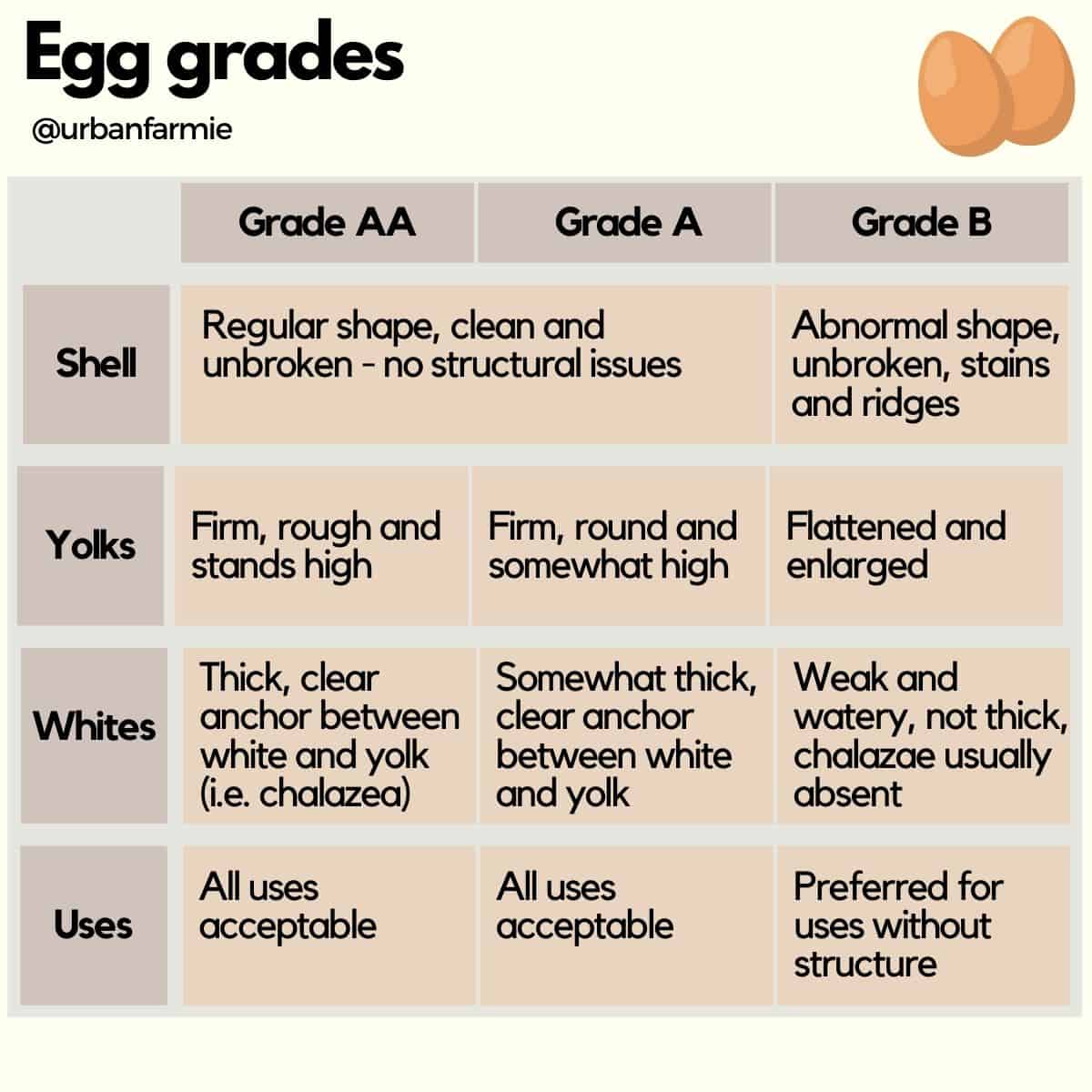 Infographic showing the various egg grades and differences