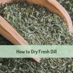 Close up of dried dill in terracotta container with text overlay of title.