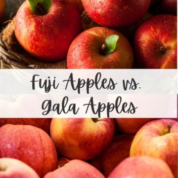 Two panel collage of Fuji apples on top and Gala apples at the bottom, text overlay of title in between.