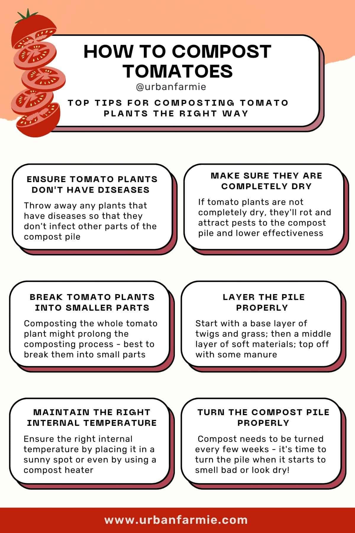 Infographic showing how to compost tomato plants by following (six top tips).