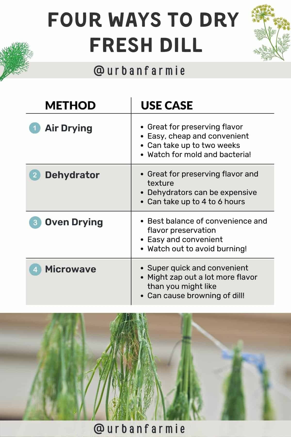 Infographic in table format summarizing the four ways to dry dill and their use cases, and some background images of dill. Check post for details.