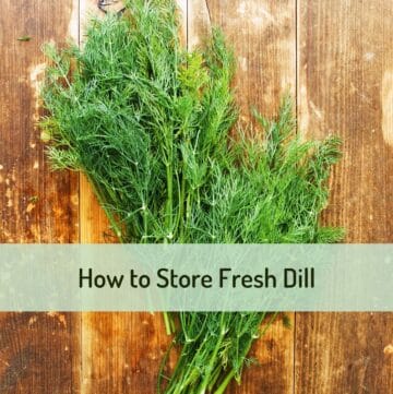 Close up shot of dill on a wooden cutting board with text overlay of title.