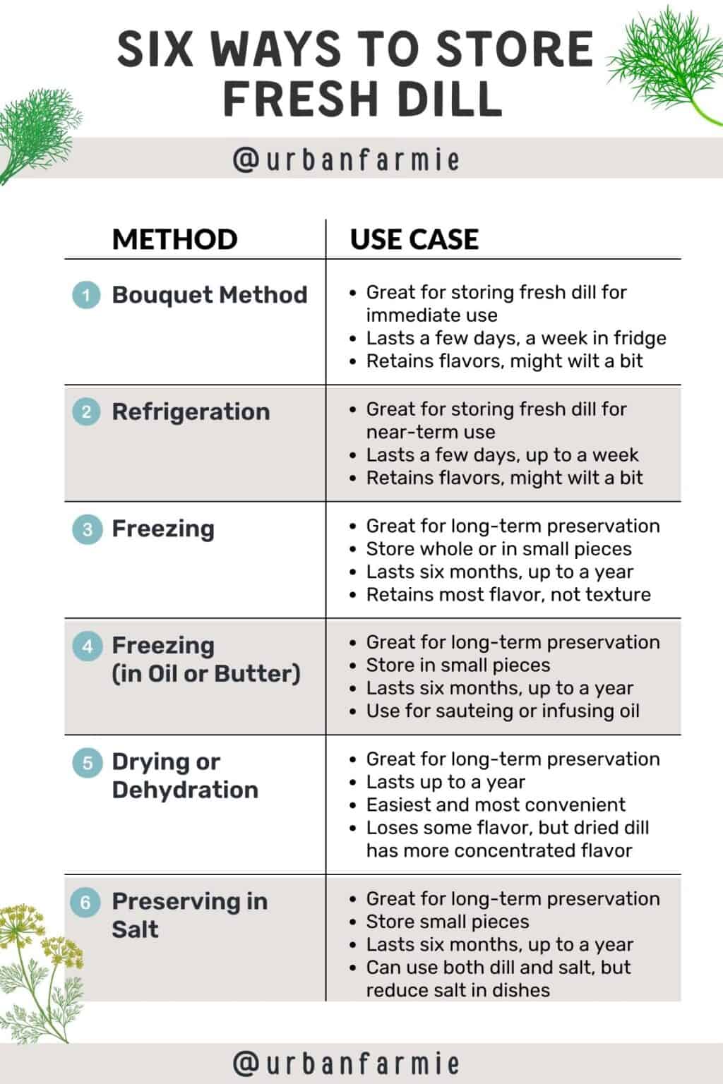 How to Store Fresh Dill (and Dill Seeds!)