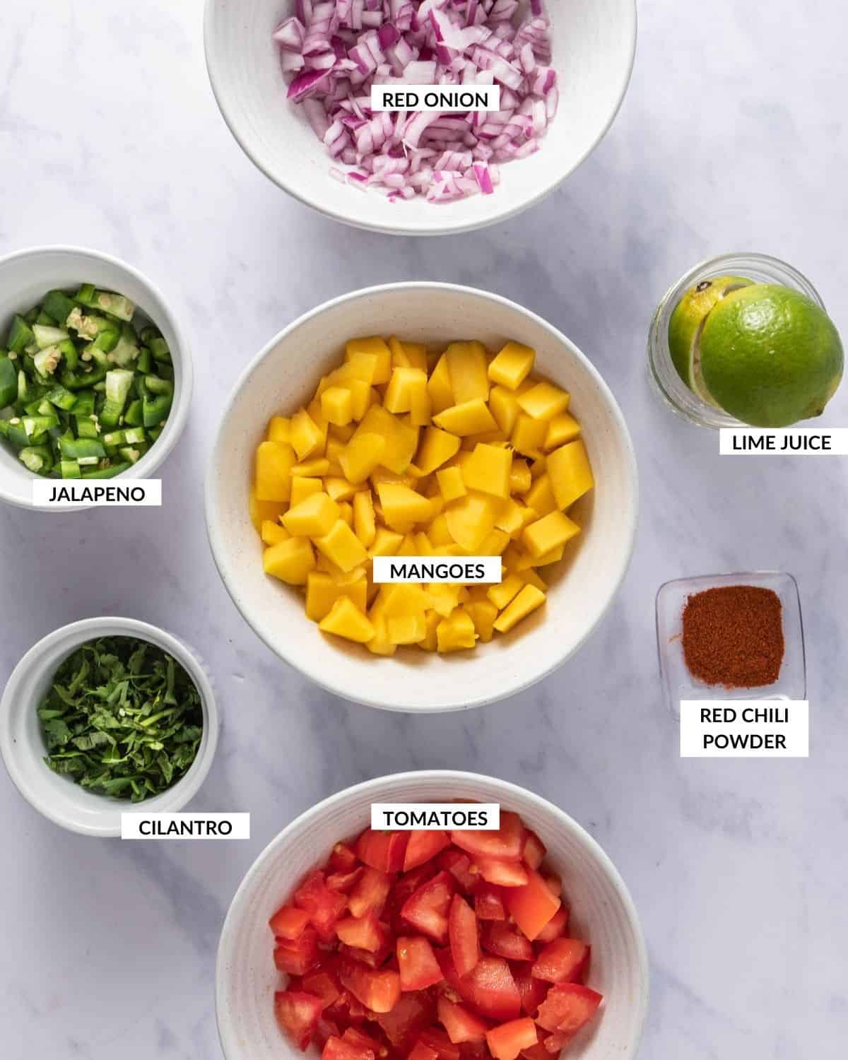 Labeled ingredient list for mango salsa dip - check recipe card for details!