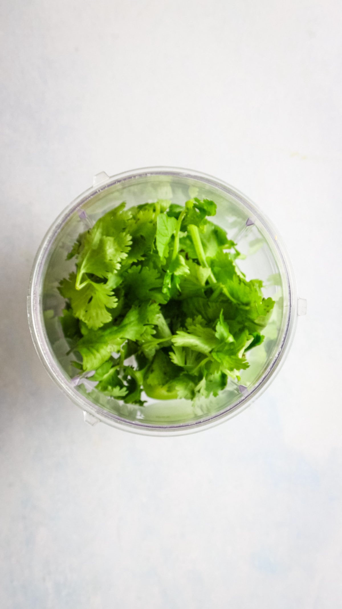 An overhead image of cilantro in a blender,