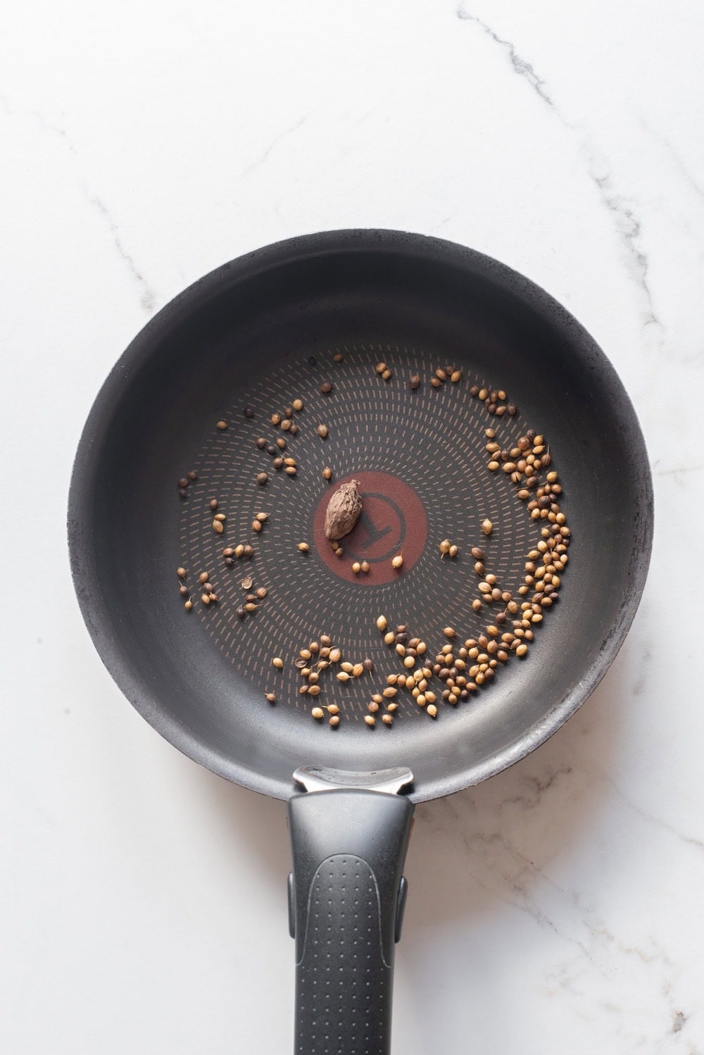 An overhead image of toasting cardamom pod and coriander seeds.