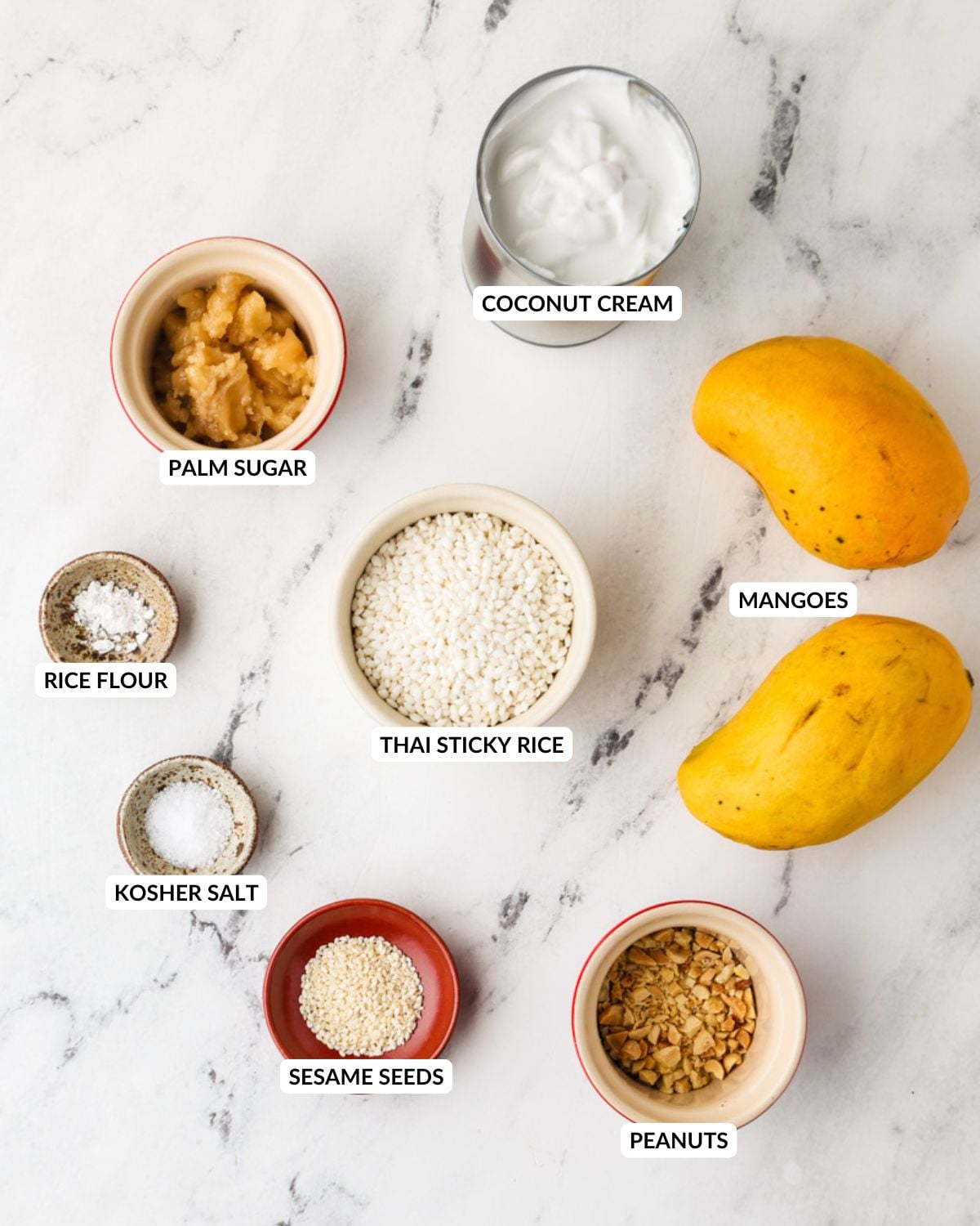 Flat lay of Thai mango sticky rice ingredients.