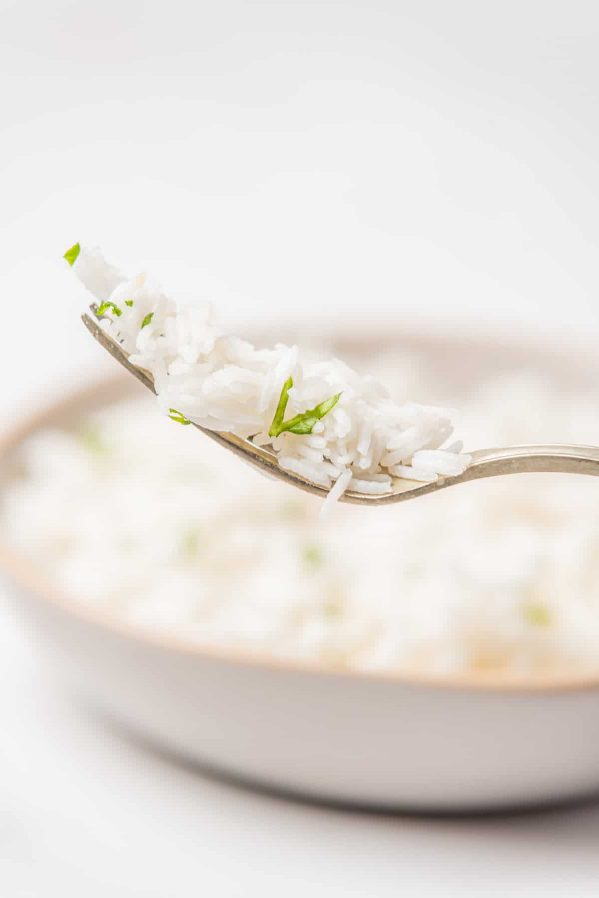 A closeup image of a spoonful of white rice in front of a bowl of white rice.