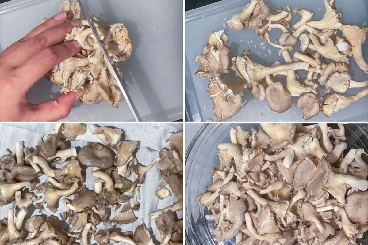 Four panel collage showing how to prepare oyster mushrooms