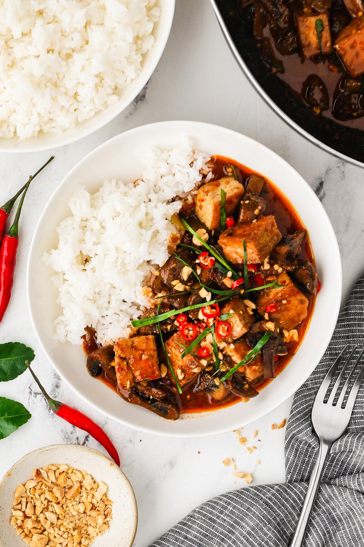 An overhead image of vegetarian panag curry served with rice.