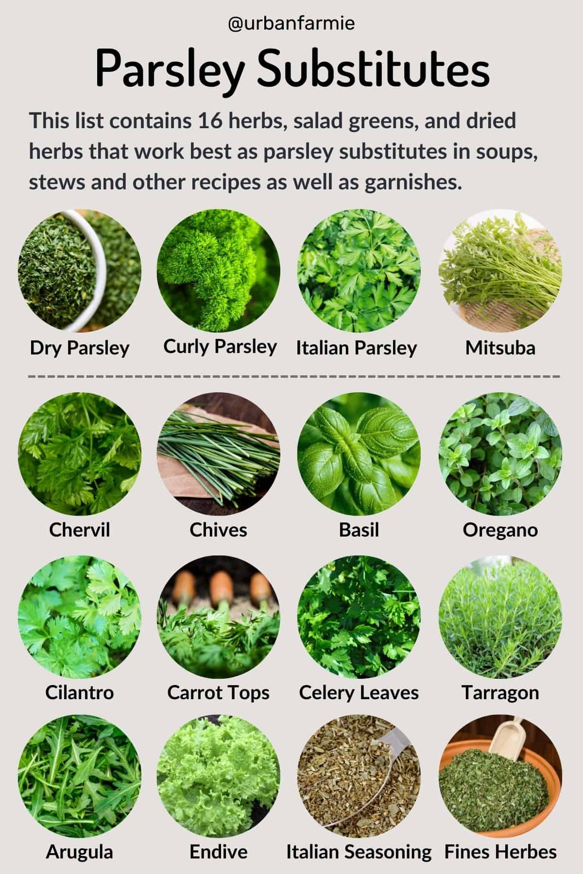 Infographic showing sixteen parsley substitutes arranged in four rows of four each.