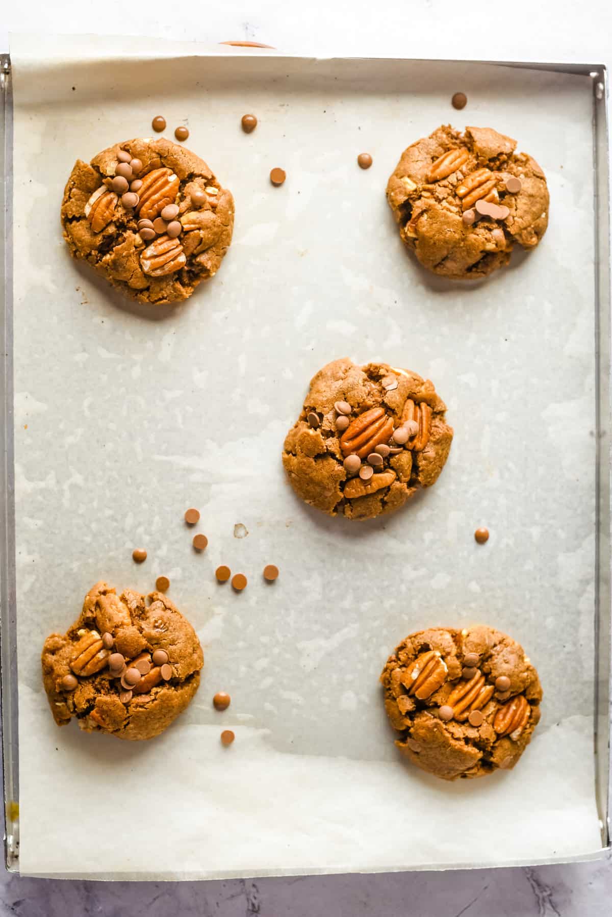 Overhead view of baked pecan chocolate chip cookies.