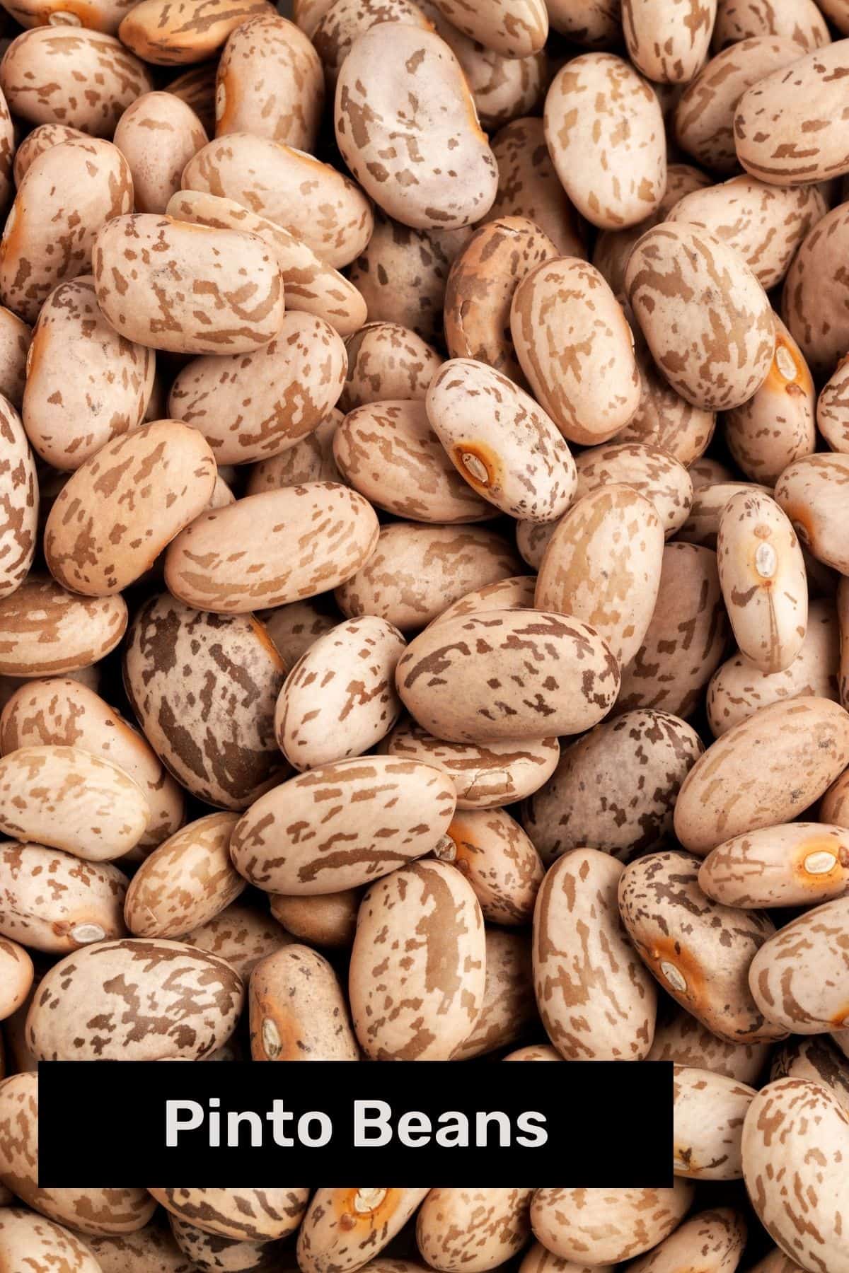 Close up of pinto beans with text overlay.