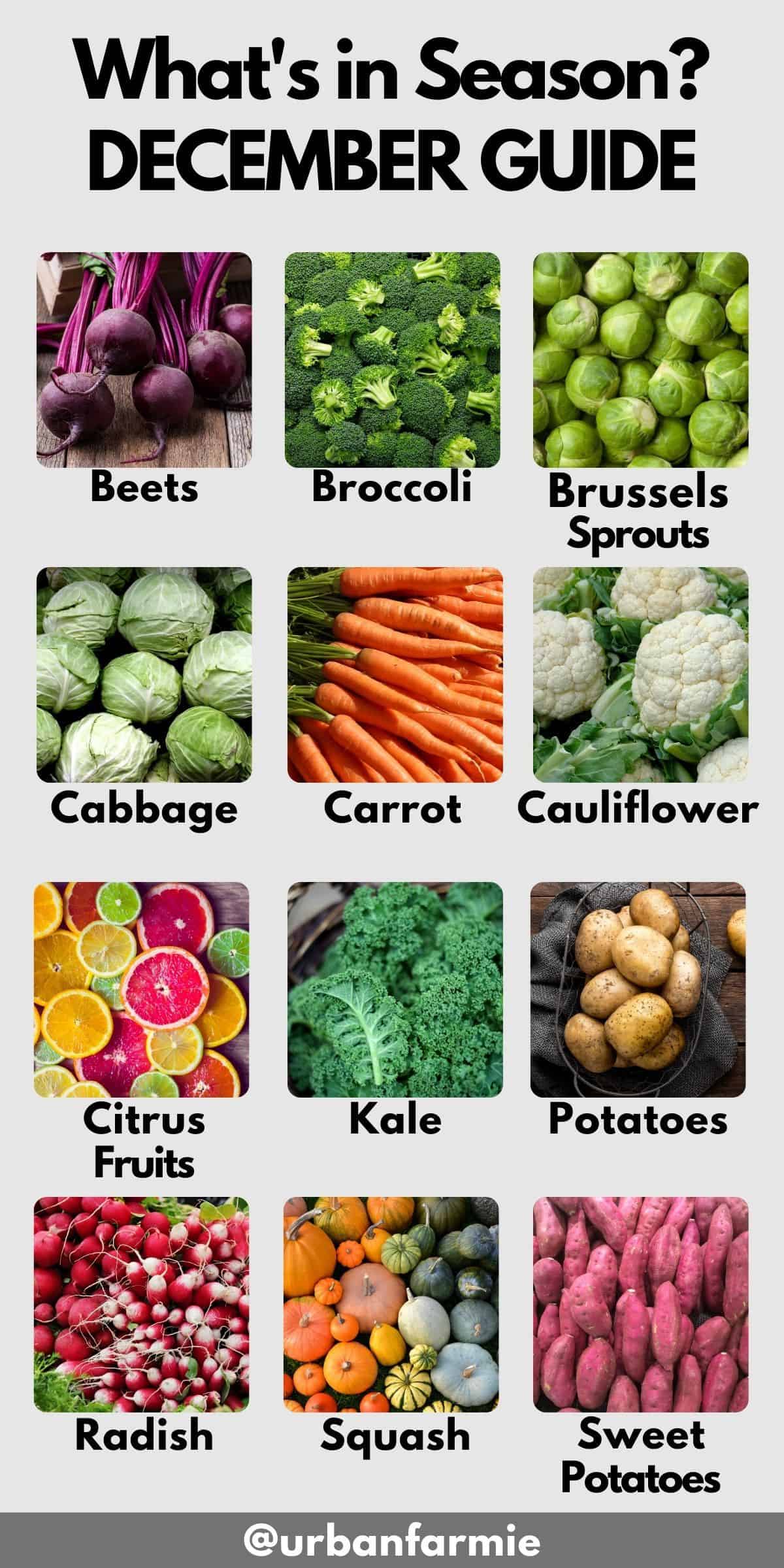 December produce guide showing Collage of the most common fruits and vegetables in season