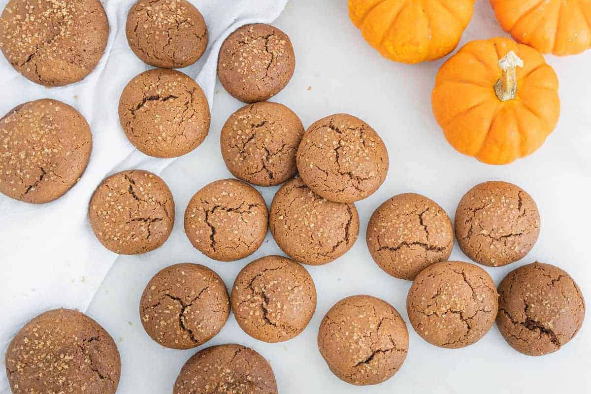 An overhead photo of several soft pumpkin molasses cookies with three pumpkins in the background.