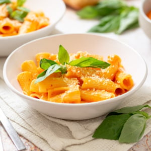 Bowl of romesco pasta with rigatoni, basil, grated cheese, and roasted red pepper sauce.