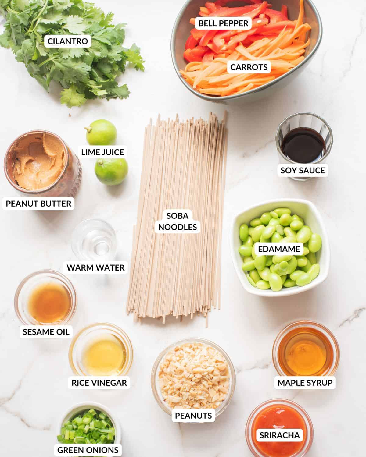 An overhead image of the ingredients of spicy peanut edamame noodles.