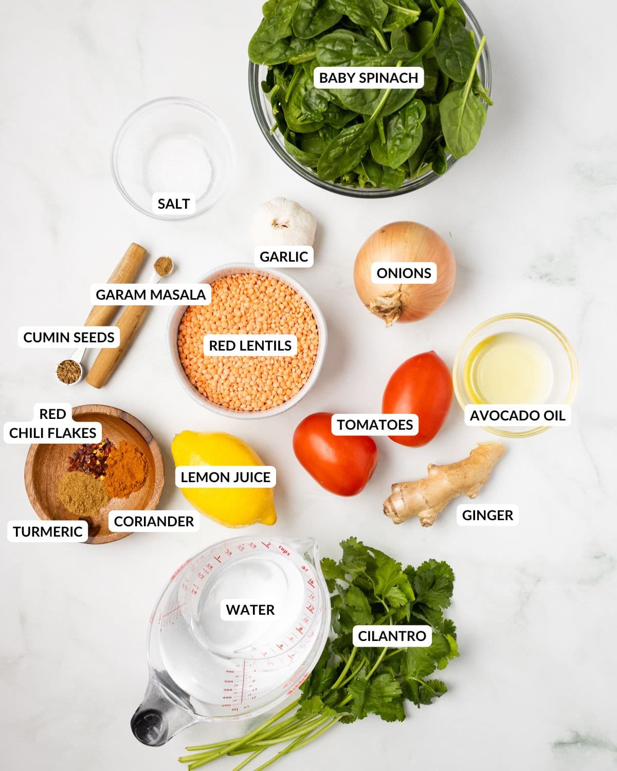 An overhead image of the ingredients of spinach dal.