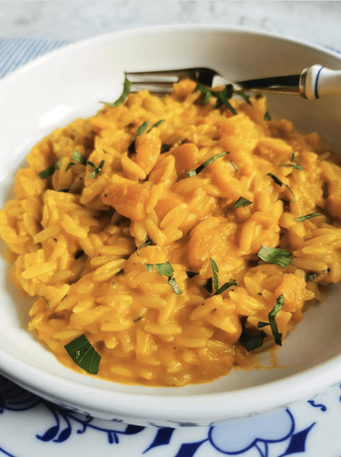 A close-up view of pasta risotto with kabocha squash in a white bowl.