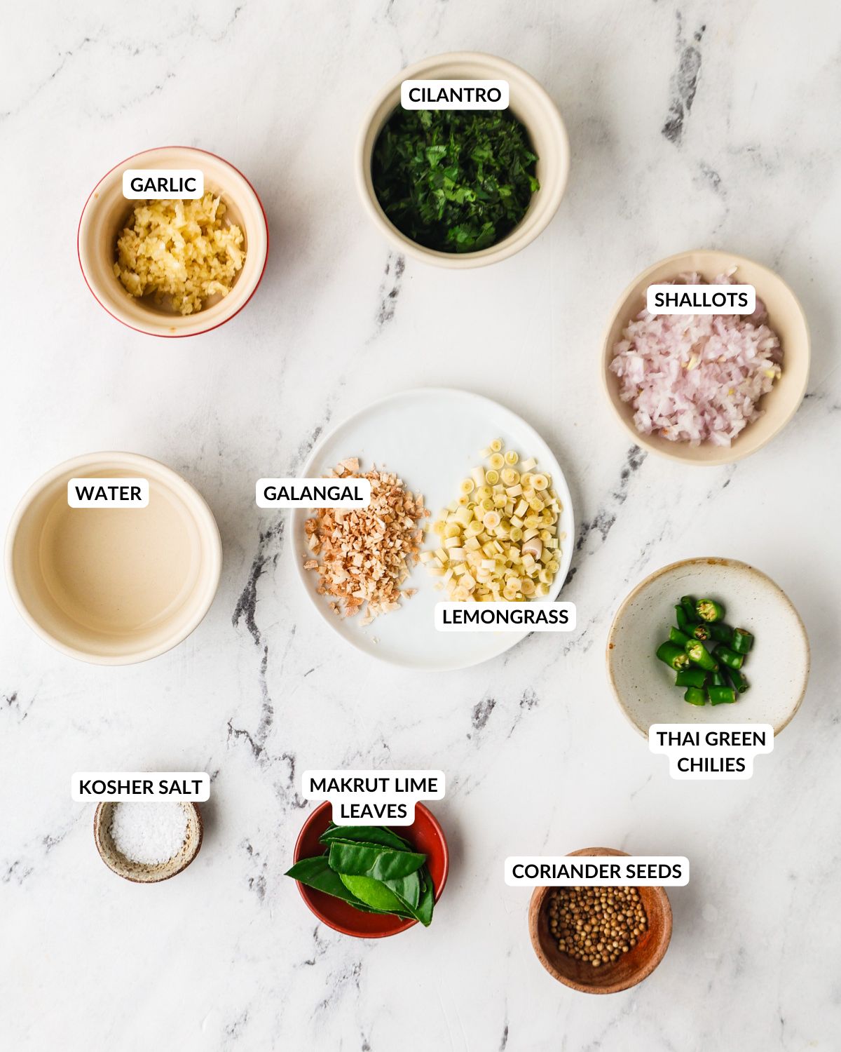 Overhead image of the ingredients for the Thai green curry paste.