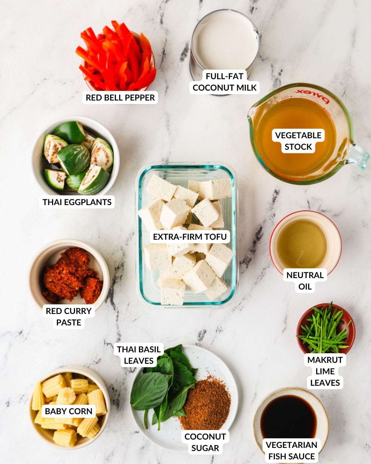 An overhead image of the ingredients of Thai red curry.
