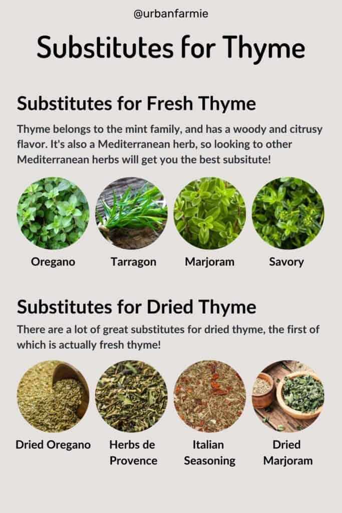 Best Substitutes for Thyme (Fresh and Dried!) - Urban Farmie