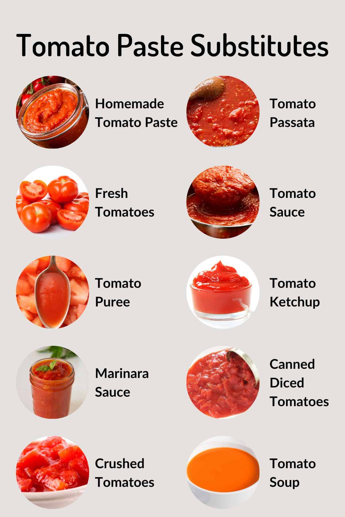 Infographic showing the top 10 tomato based tomato paste substitutes