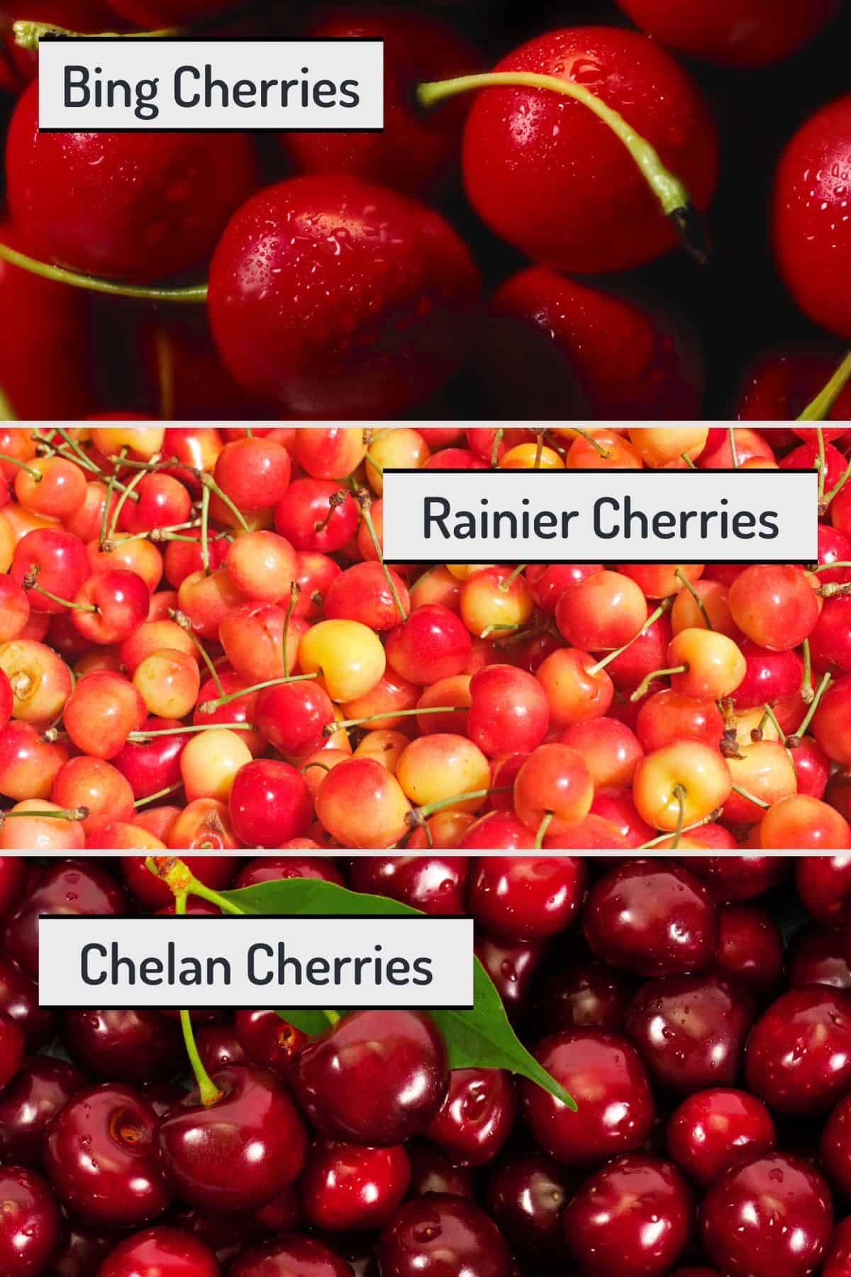 Three panel collage showing images of Bing cherries, Rainier cherries and Chelan cherries from top to bottom, with text overlay on each.
