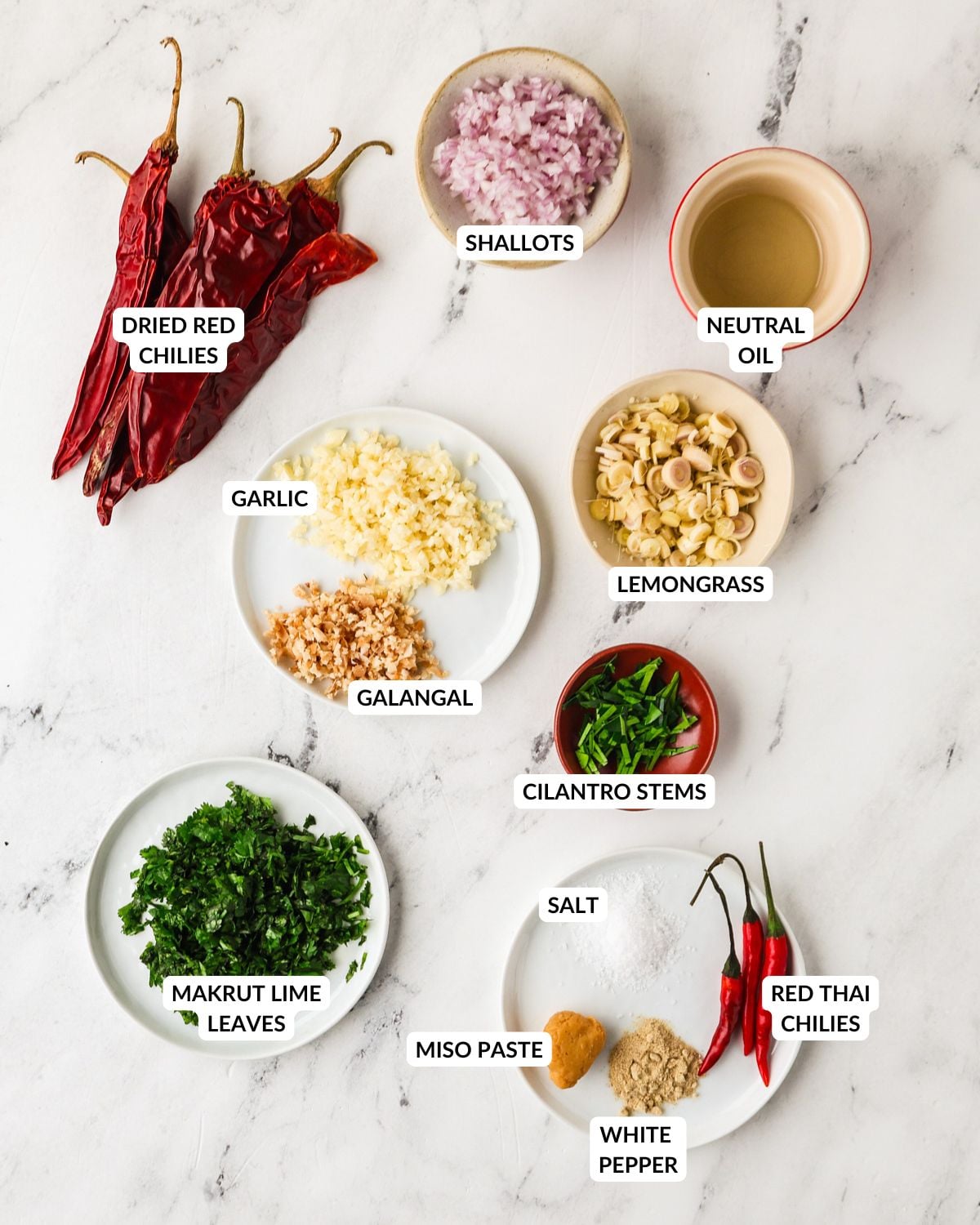 Overhead ingredients for vegan Thair red curry paste.