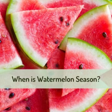 Close up of watermelon slices with text overlay of title on a green background.