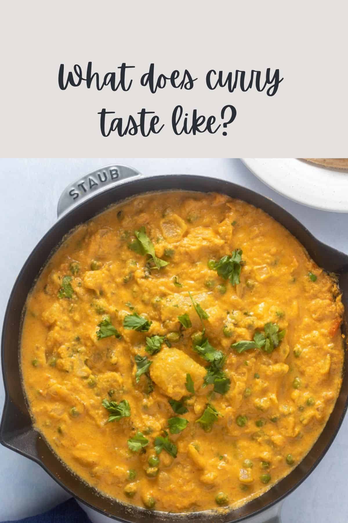Close up of korma in skillet with text overlay of "What Does Curry Taste Like?"